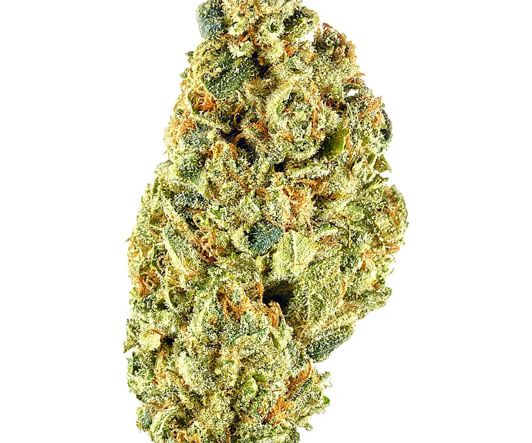 Headband — 1g
