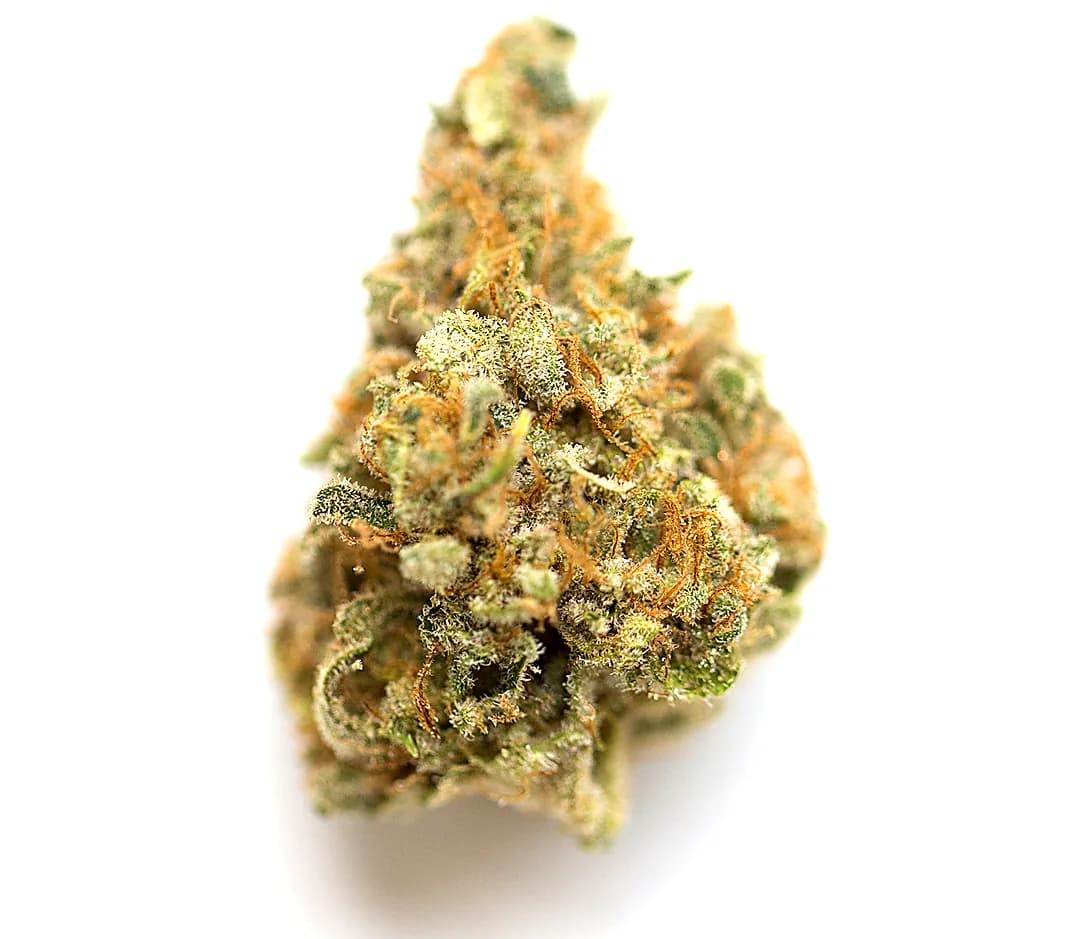 Mandarin Cookies — 1g