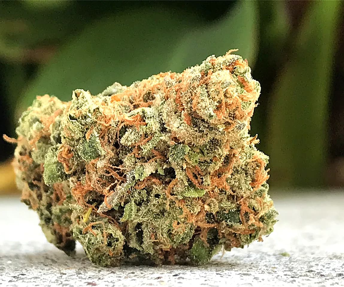 Maui Wowie — 1g