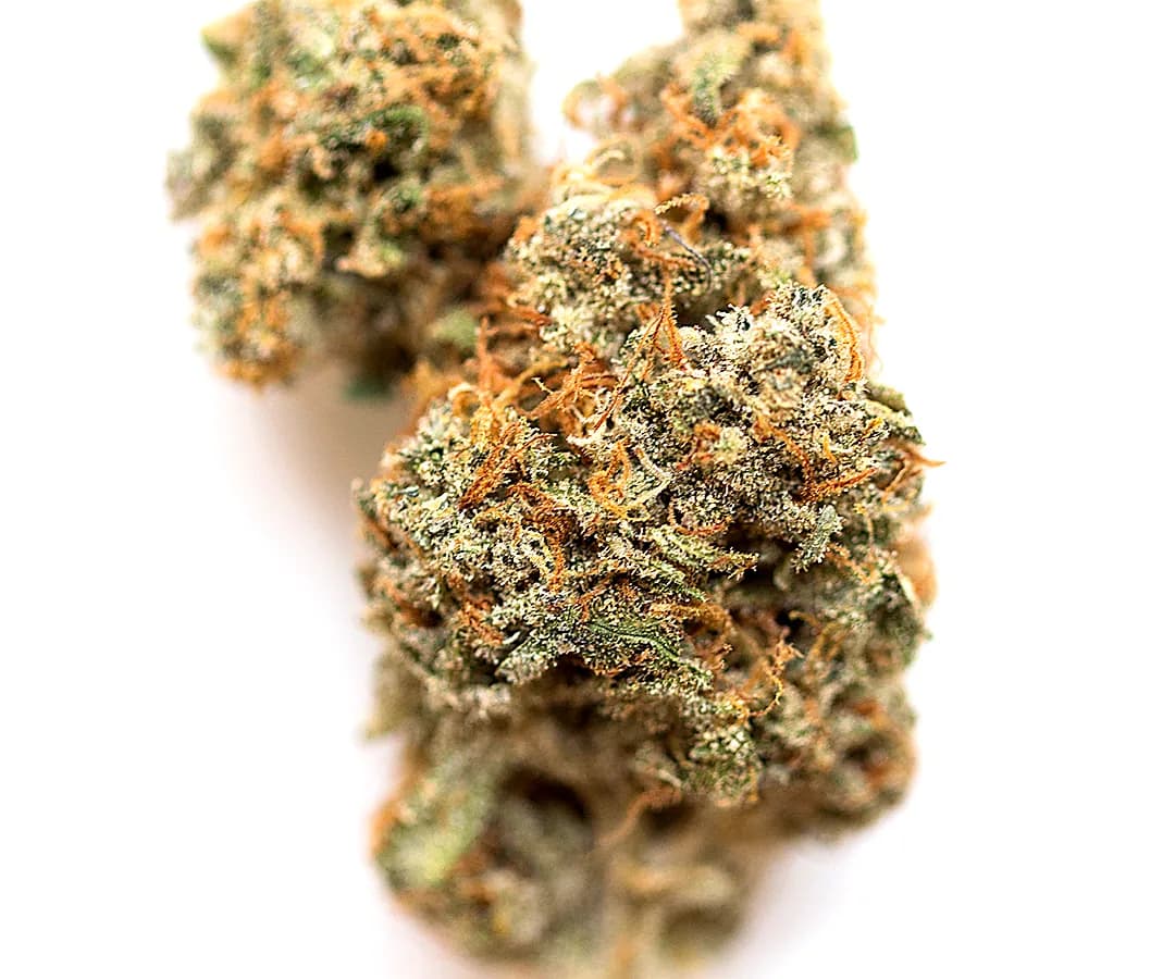 Sundae Driver