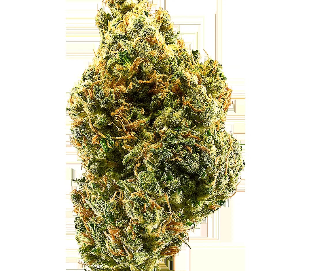 Tangie — 1g